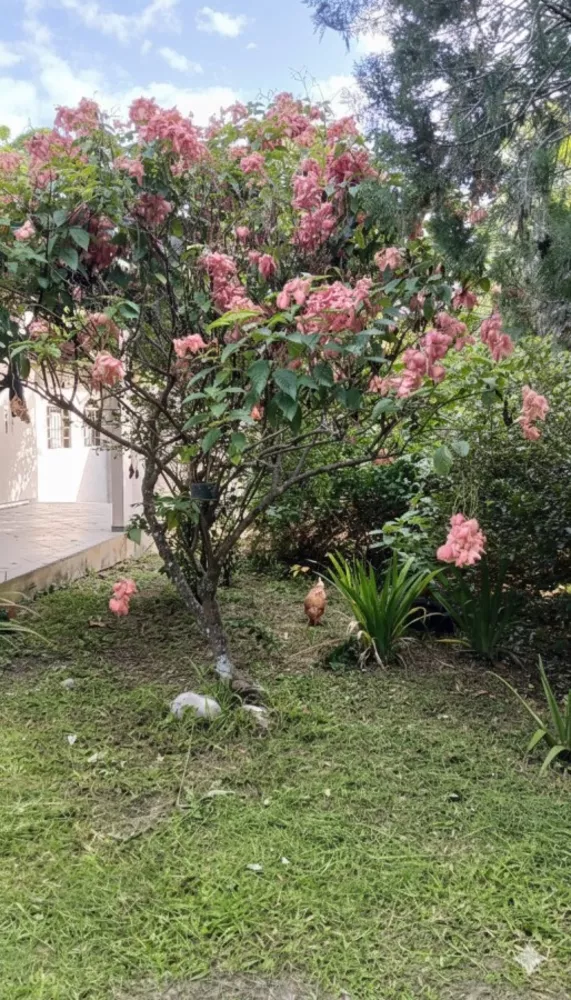 Chácara, 2 quartos, 2000 m² - Foto 5