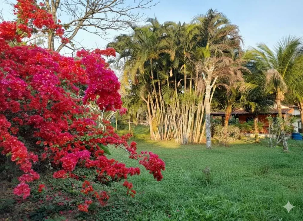 Chácara, 2 quartos, 2000 m² - Foto 13