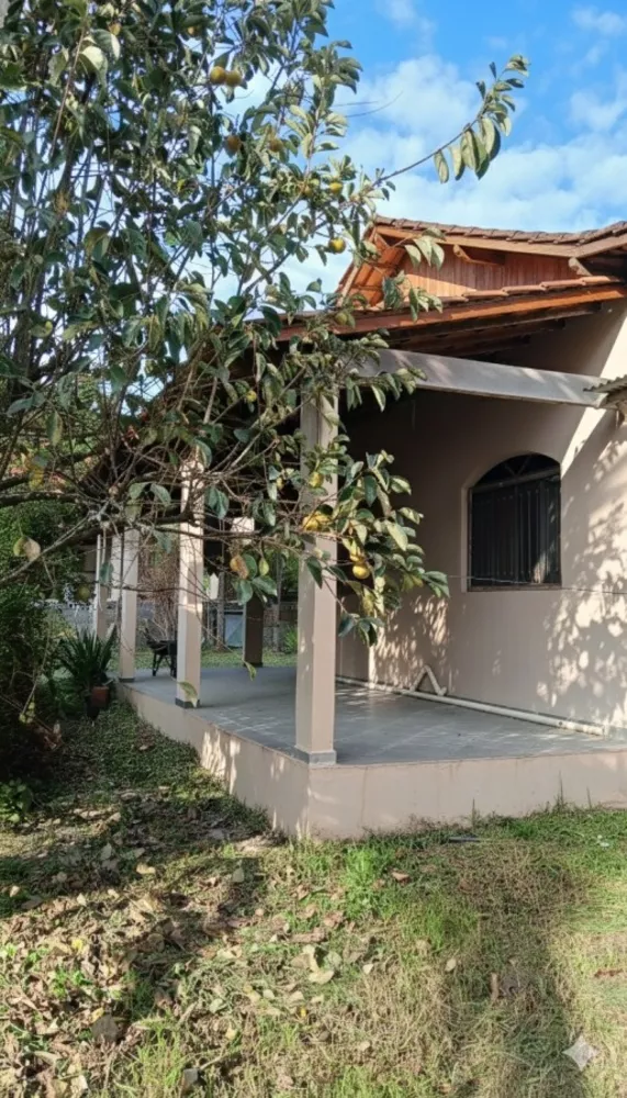 Chácara, 2 quartos, 2000 m² - Foto 3