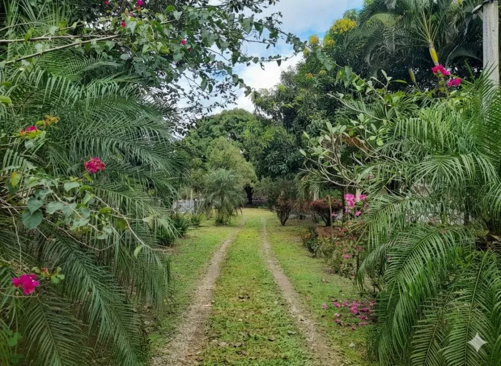 Chácara, 2 quartos, 2000 m² - Foto 17