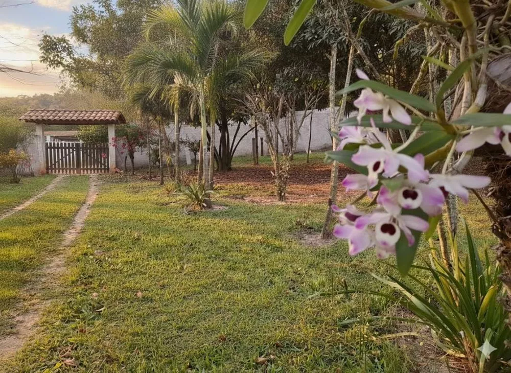 Chácara, 2 quartos, 2000 m² - Foto 6