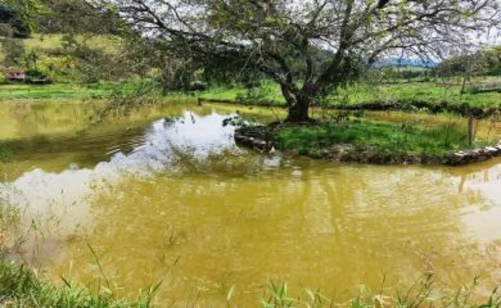 Sítio, 3 quartos, 2 hectares - Foto 14