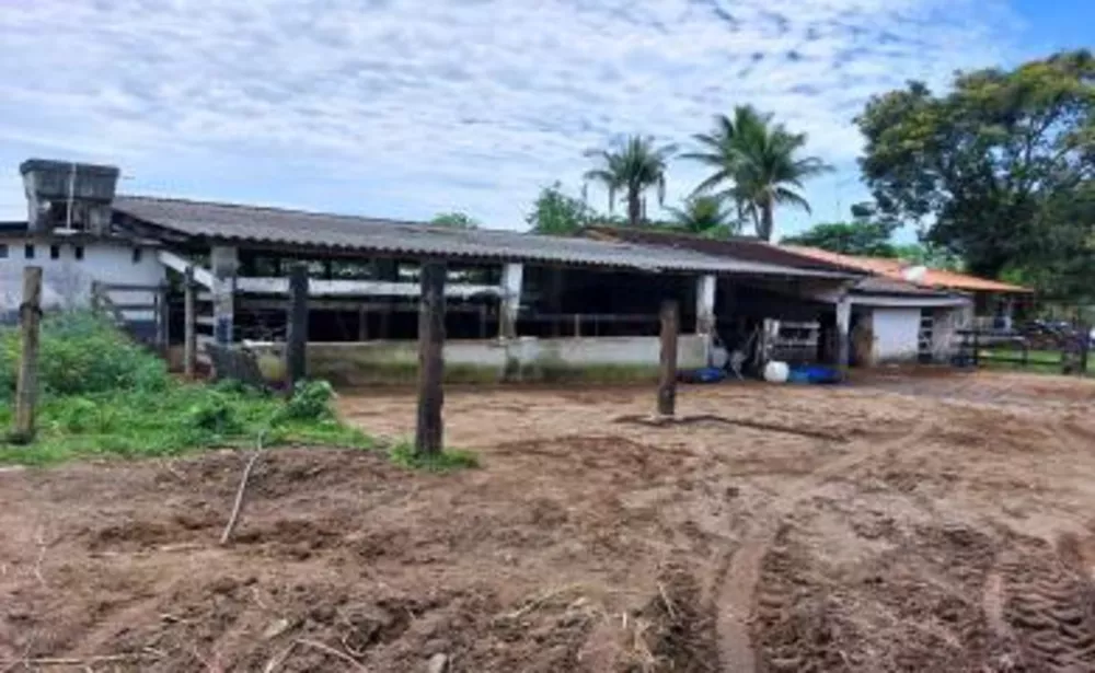 Sítio, 3 quartos, 2 hectares - Foto 11