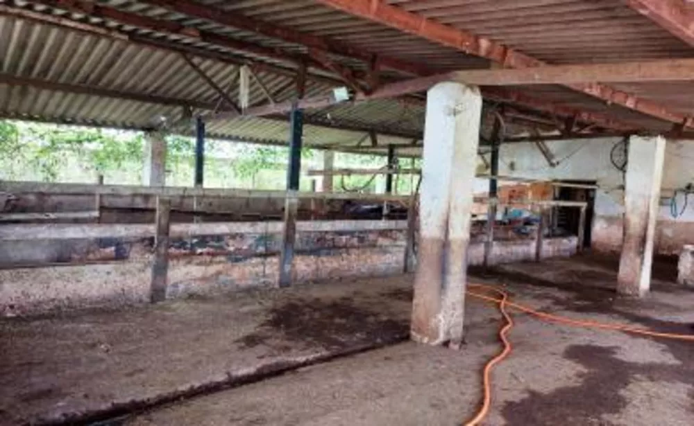 Sítio, 3 quartos, 2 hectares - Foto 10