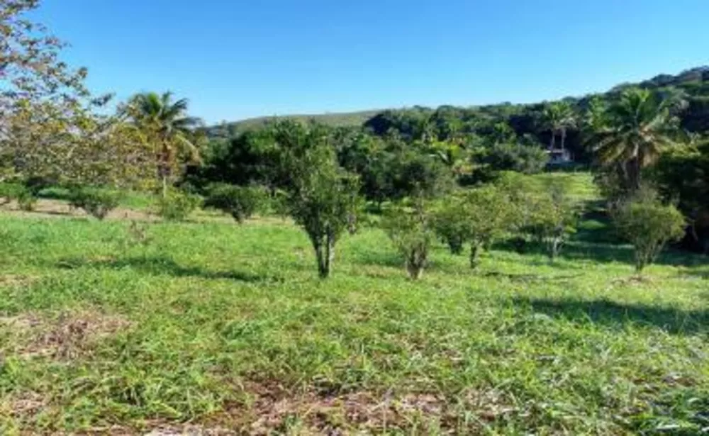 Sítio, 2 quartos, 2 hectares - Foto 4
