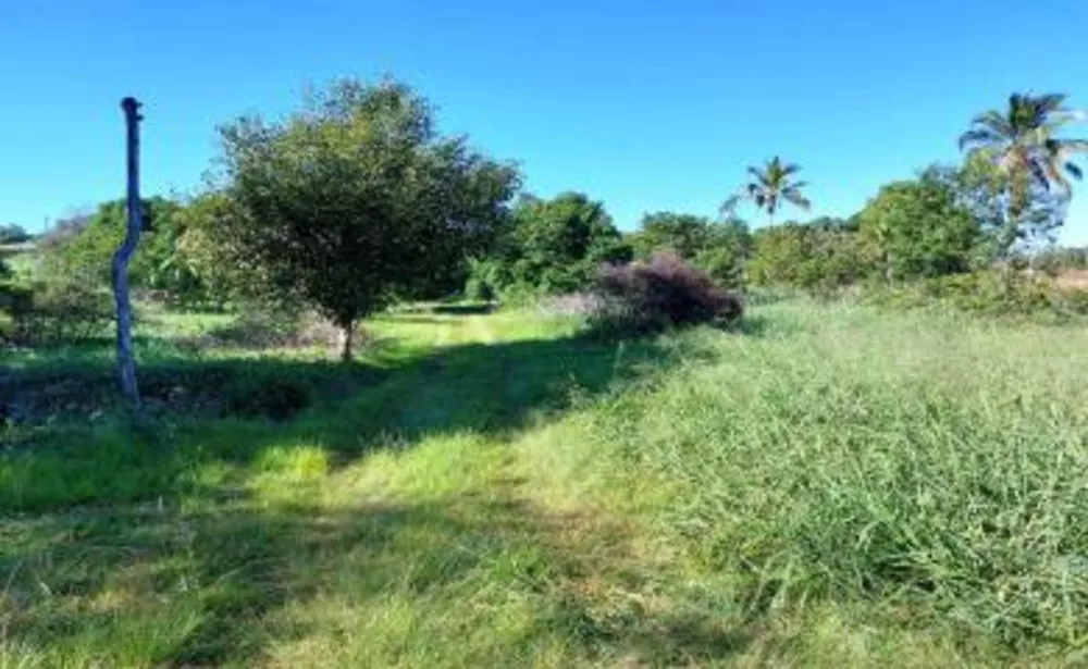 Sítio, 2 quartos, 2 hectares - Foto 9
