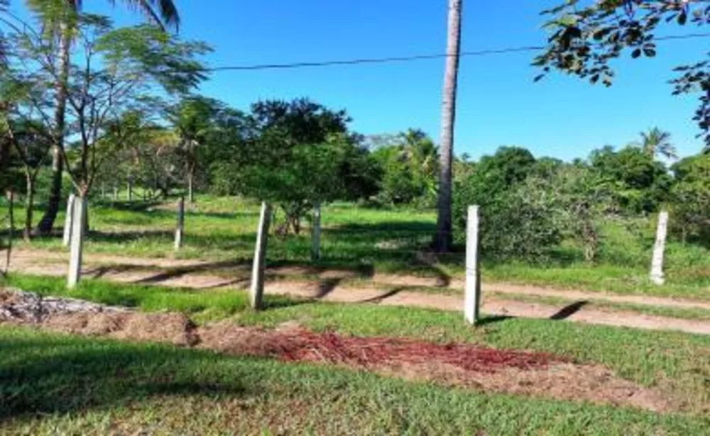Sítio, 2 quartos, 2 hectares - Foto 7