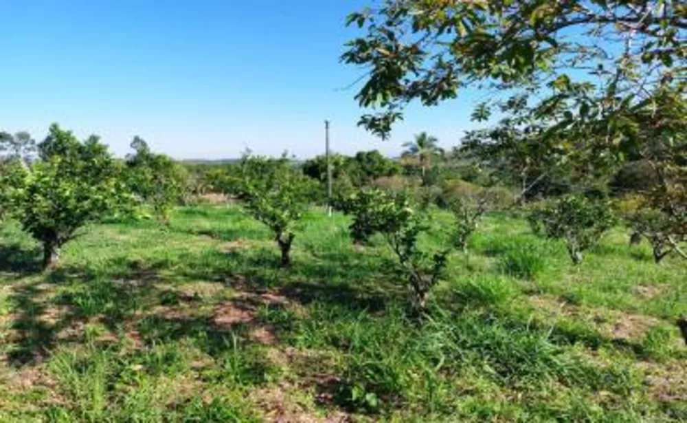 Sítio, 2 quartos, 2 hectares - Foto 6