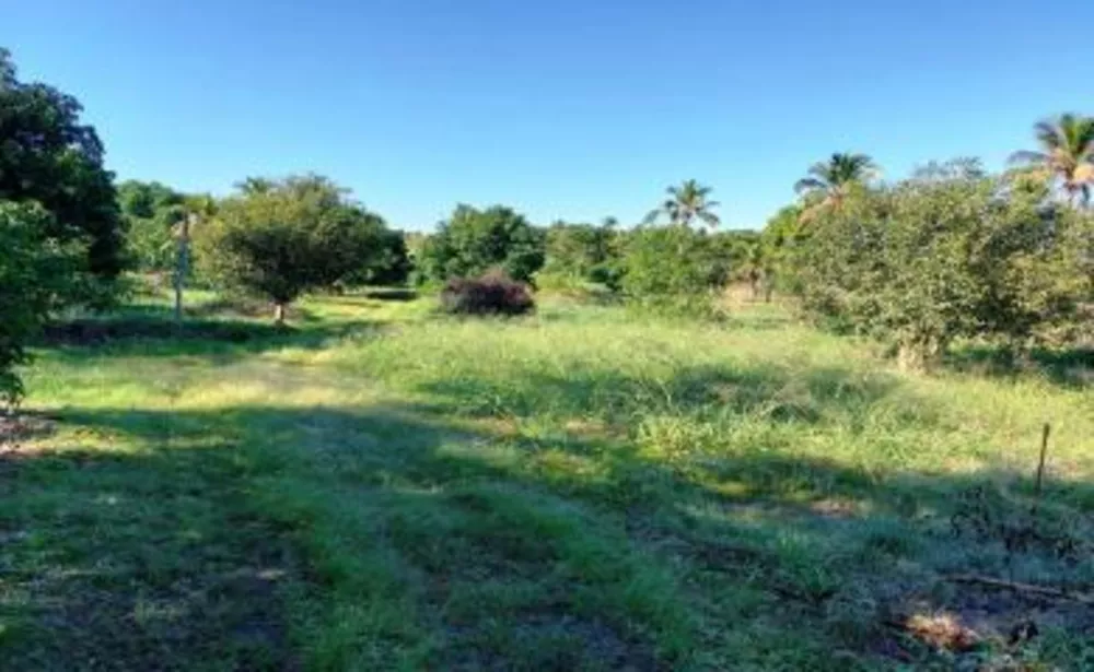 Sítio, 2 quartos, 2 hectares - Foto 14