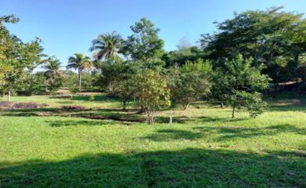 Sítio, 2 quartos, 2 hectares - Foto 3