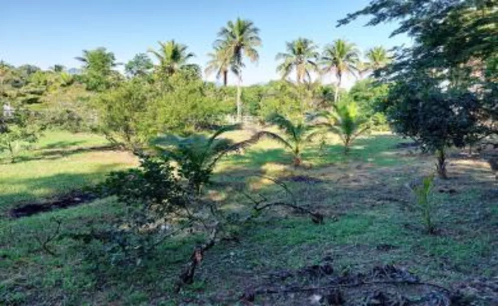 Sítio, 2 quartos, 2 hectares - Foto 8