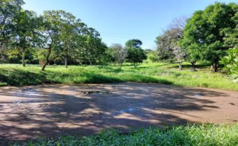 Sítio, 2 quartos, 2 hectares - Foto 12