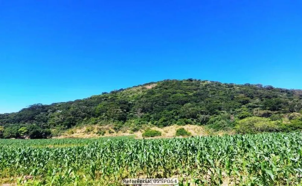 Sítio, 3 quartos, 16 hectares - Foto 8