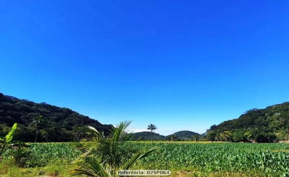 Sítio, 3 quartos, 16 hectares - Foto 12