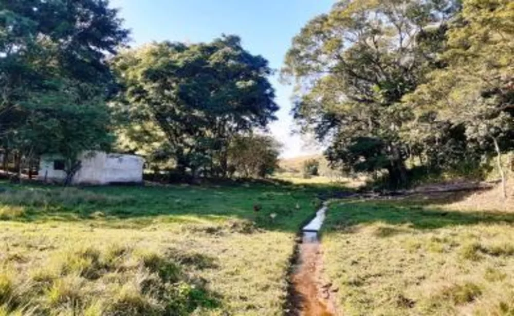 Fazenda, 87 m² - Foto 6