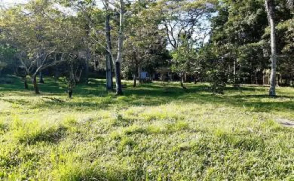 Fazenda, 87 m² - Foto 14