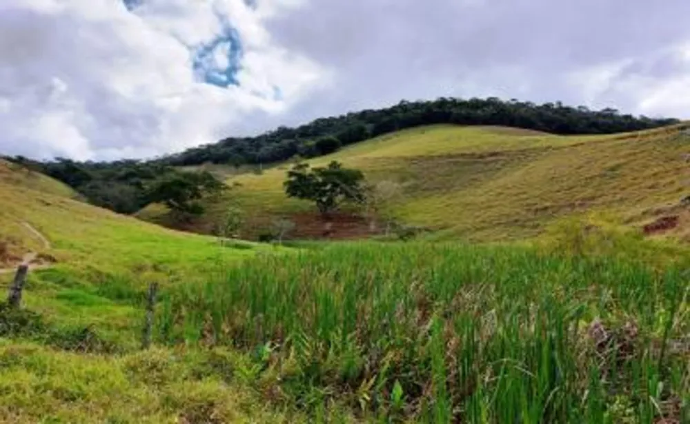 Fazenda, 159 m² - Foto 20