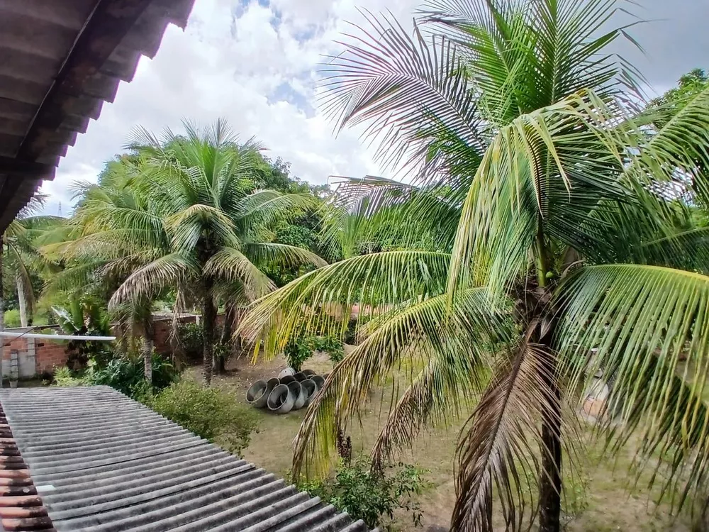 Chácara, 3 quartos, 2000 m² - Foto 17