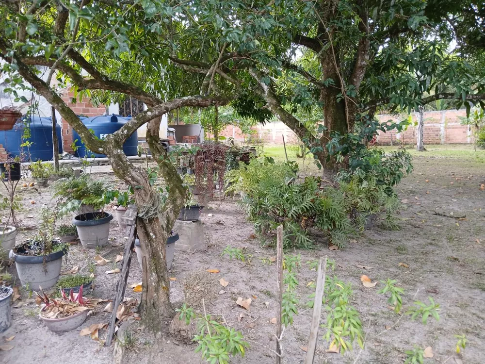 Chácara, 3 quartos, 2000 m² - Foto 19