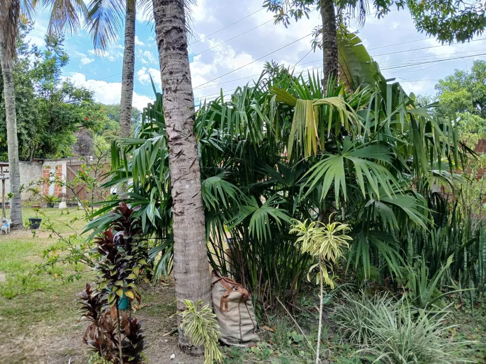 Chácara, 3 quartos, 2000 m² - Foto 13