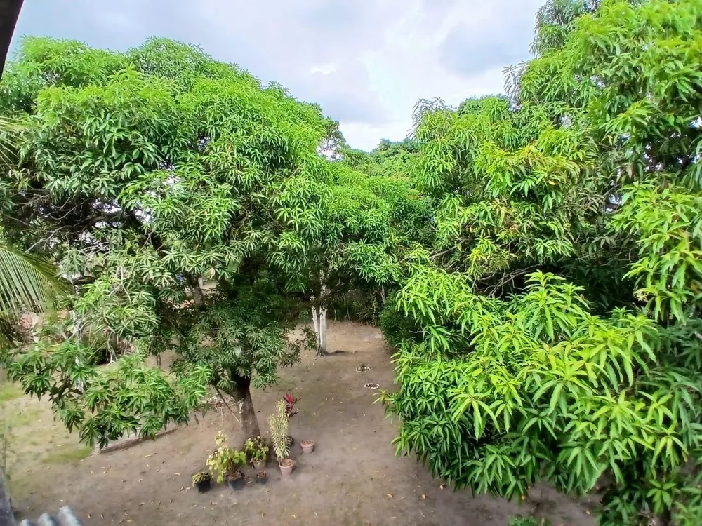 Chácara, 3 quartos, 2000 m² - Foto 18