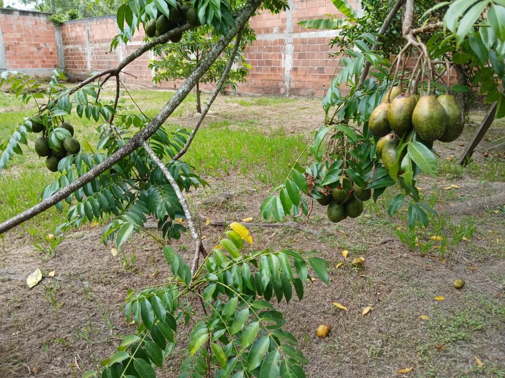 Chácara, 3 quartos, 2000 m² - Foto 11