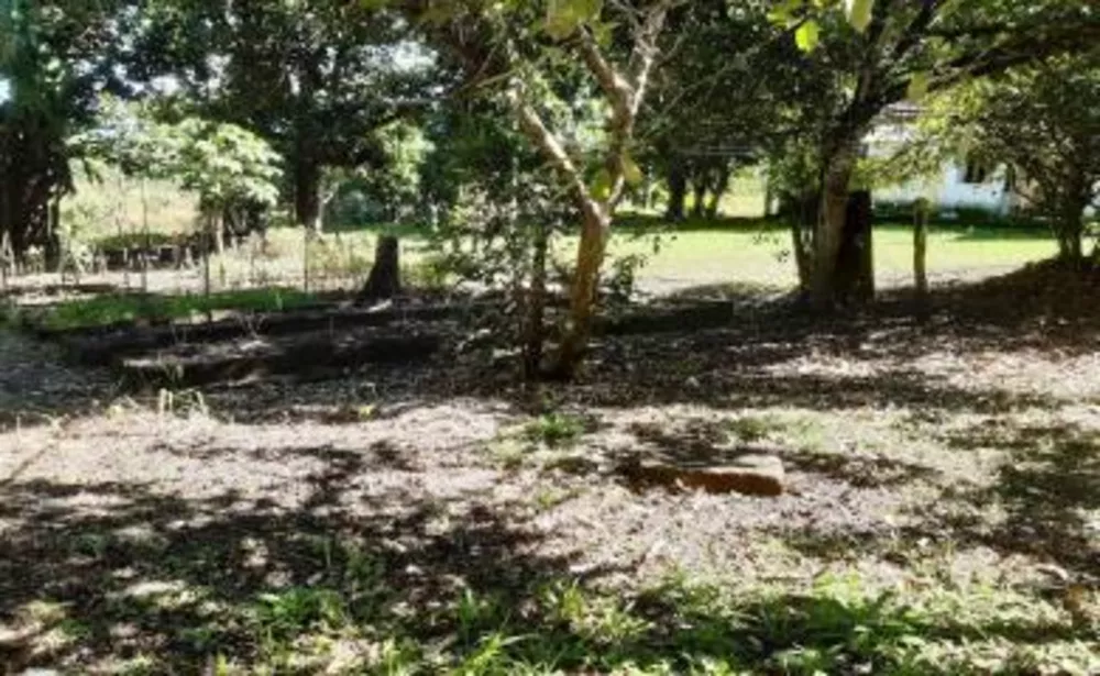 Sítio, 2 quartos, 2 hectares - Foto 8