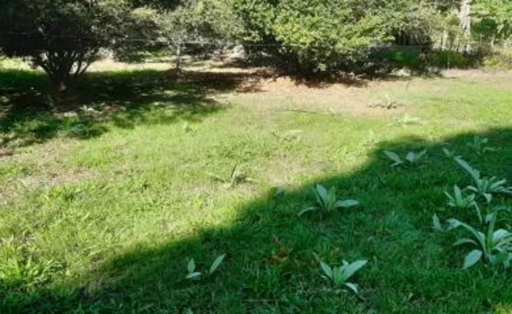 Sítio, 2 quartos, 2 hectares - Foto 14