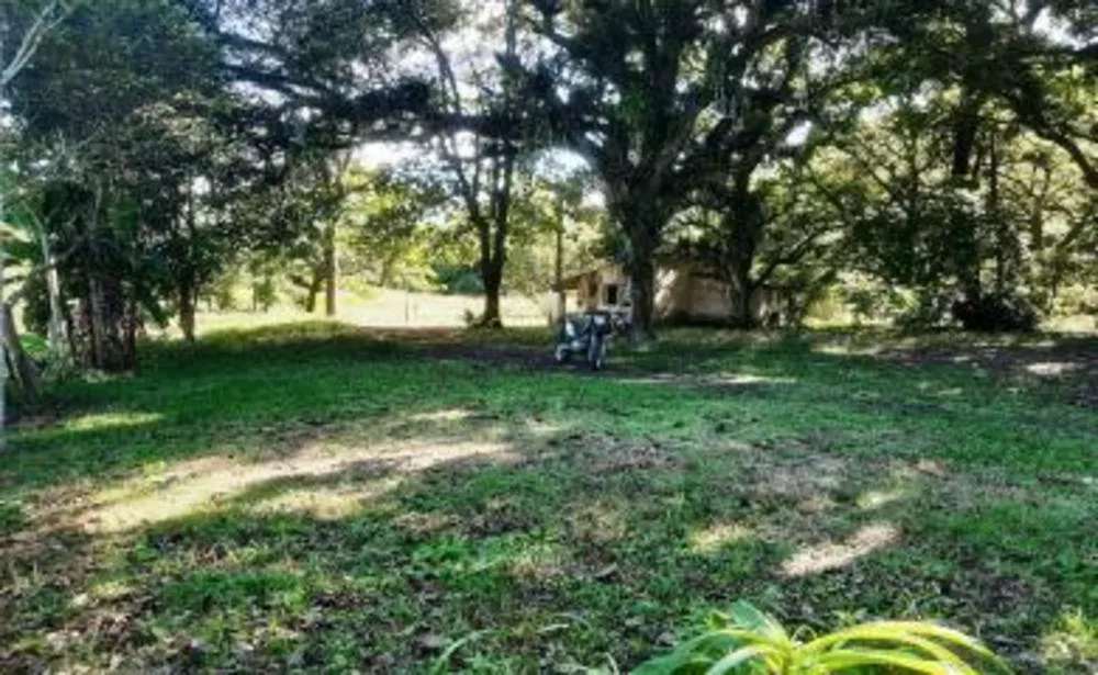 Sítio, 2 quartos, 2 hectares - Foto 13