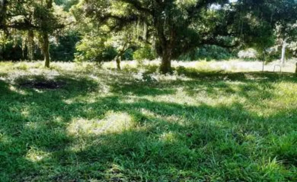 Sítio, 2 quartos, 2 hectares - Foto 7