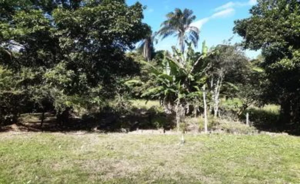 Sítio, 2 quartos, 2 hectares - Foto 6
