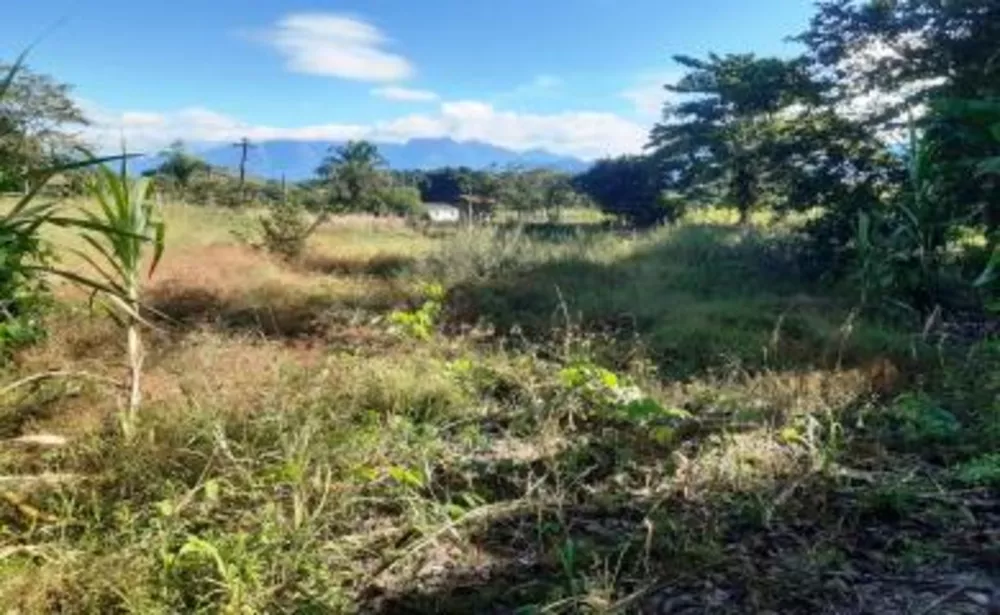 Sítio, 2 quartos, 2 hectares - Foto 12