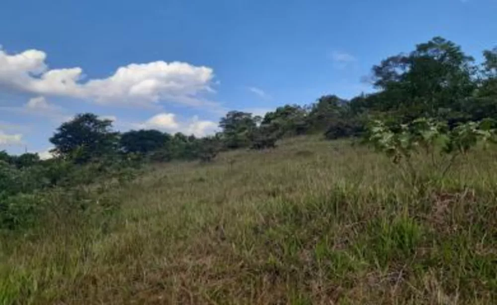 Sítio, 5 quartos, 11 hectares - Foto 14