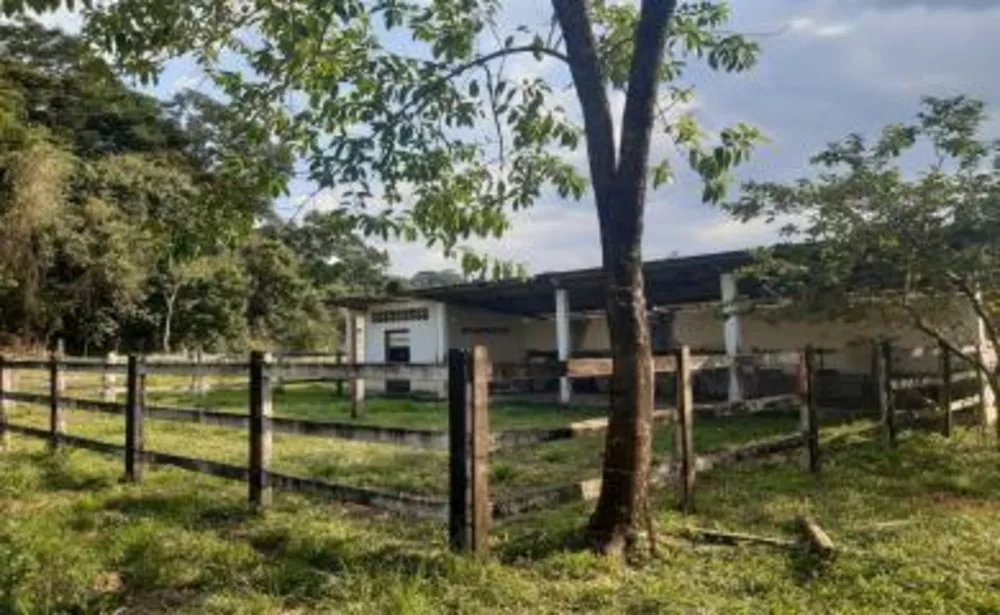 Sítio, 5 quartos, 11 hectares - Foto 7