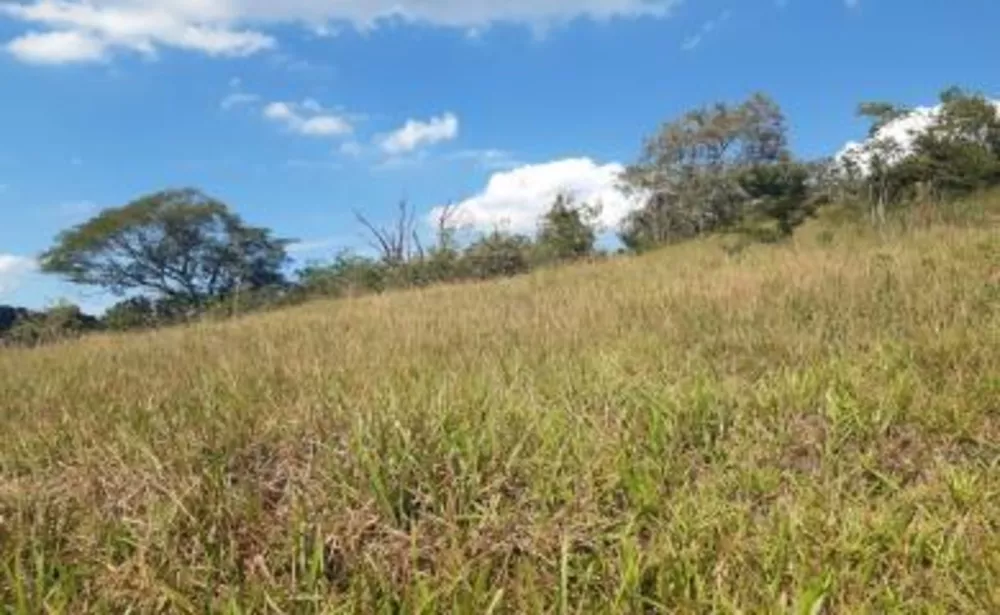 Sítio, 5 quartos, 11 hectares - Foto 11