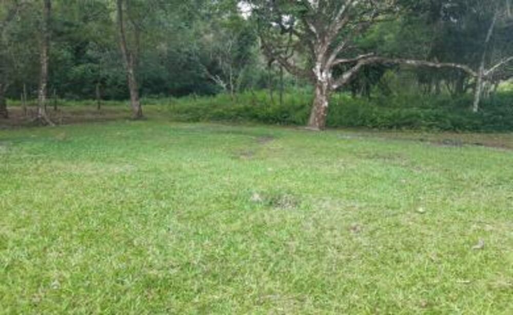 Sítio à venda com 5 quartos, 110000m² - Foto 3