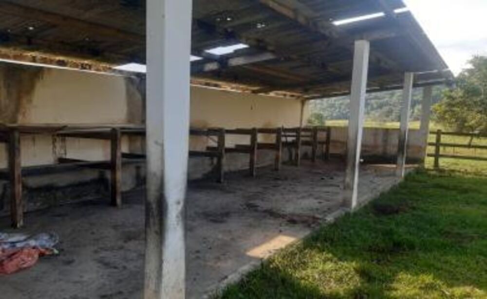 Sítio à venda com 5 quartos, 110000m² - Foto 1