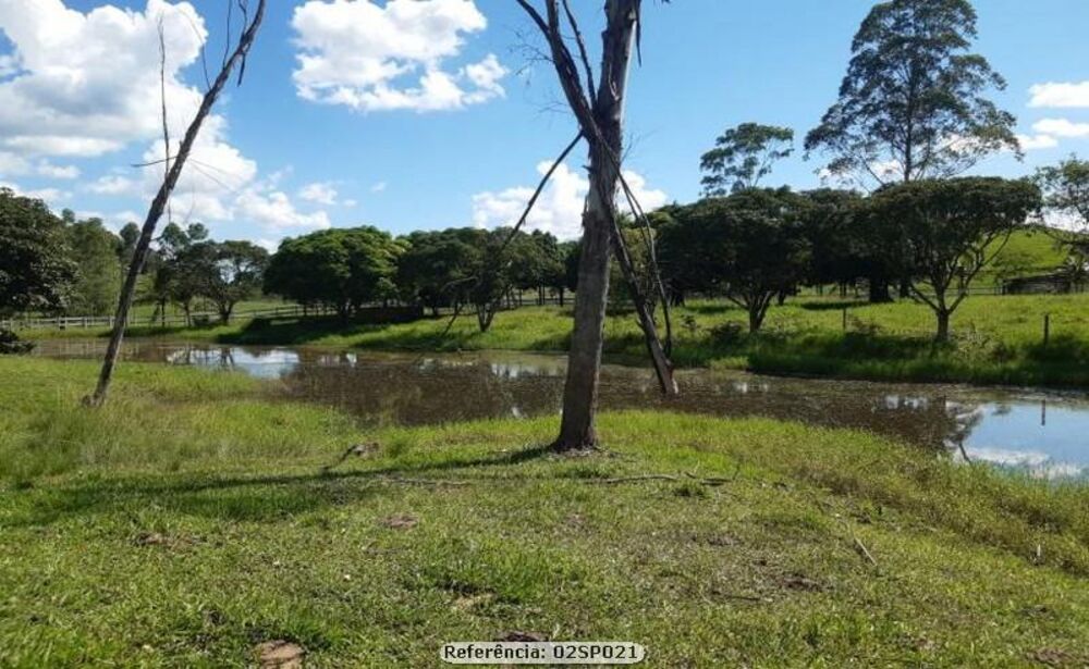 Sítio à venda com 3 quartos, 200000m² - Foto 3