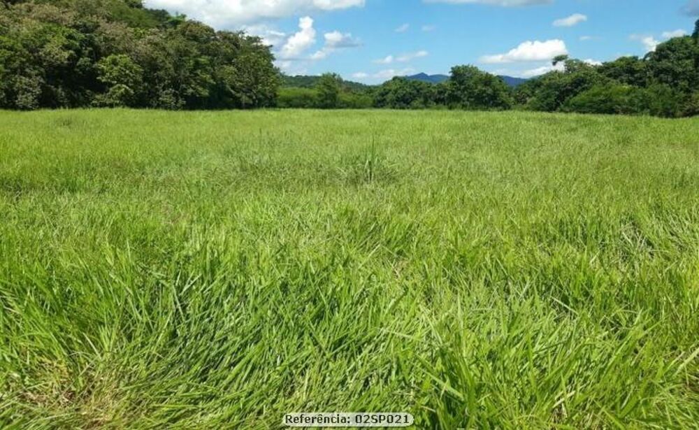Sítio à venda com 3 quartos, 200000m² - Foto 1