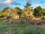 Terreno, 5000 m² - Foto 1