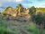 Terreno, 5000 m² - Foto 3