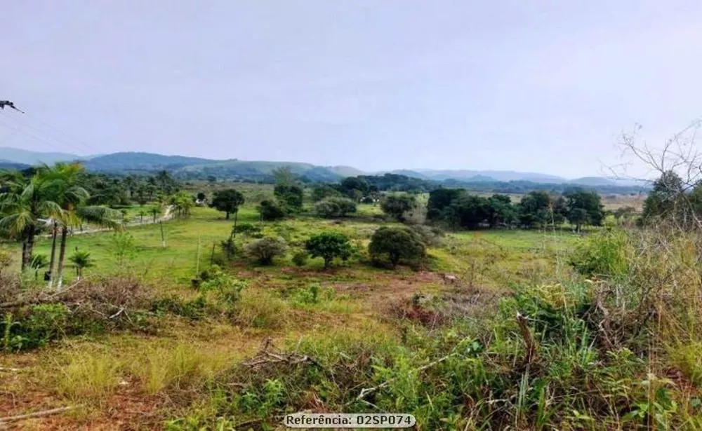 Sítio, 3 quartos, 4 hectares - Foto 2