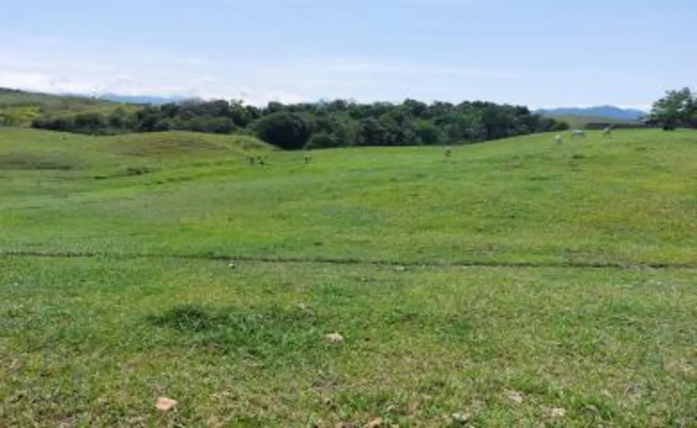 Fazenda, 33 hectares - Foto 28