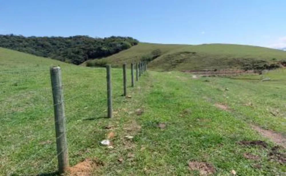 Fazenda, 33 hectares - Foto 21