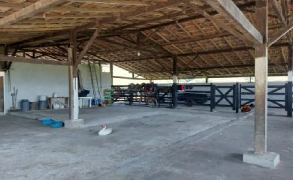Fazenda, 33 hectares - Foto 9