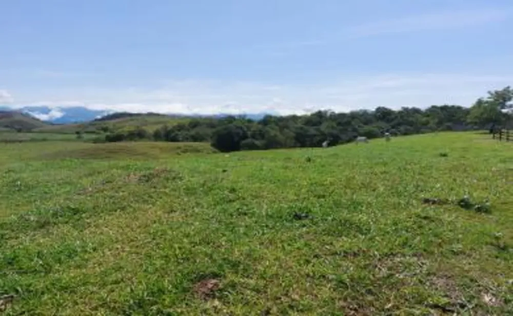 Fazenda, 33 hectares - Foto 25