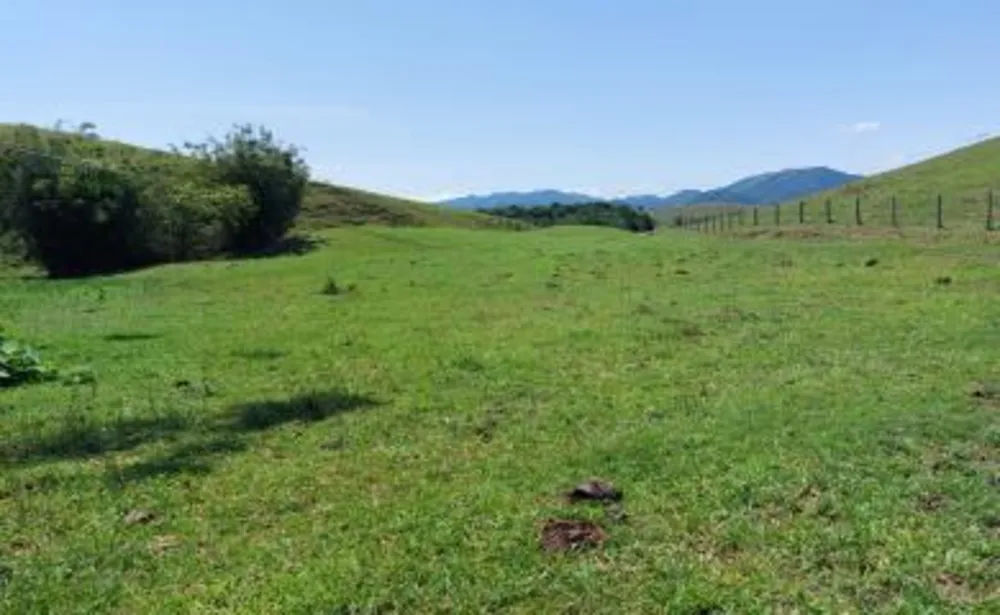 Fazenda, 33 hectares - Foto 31