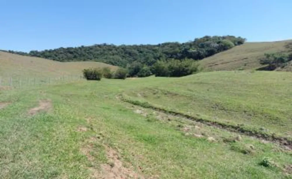 Fazenda, 33 hectares - Foto 27