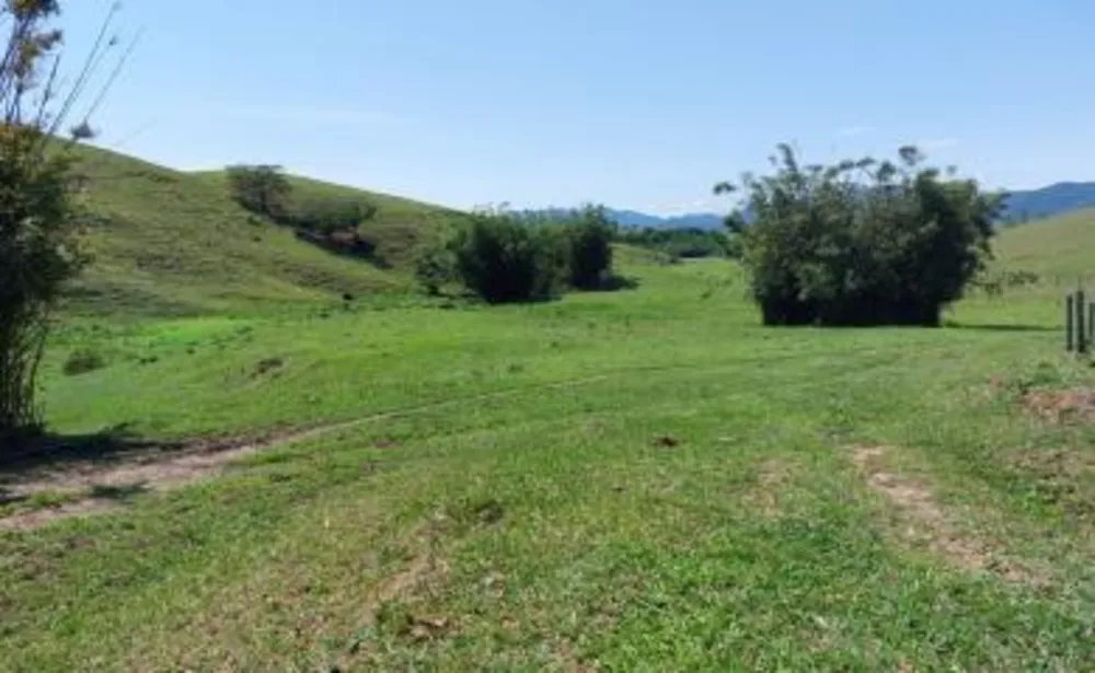 Fazenda, 33 hectares - Foto 29