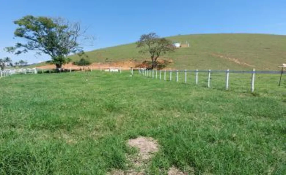 Fazenda, 33 hectares - Foto 19